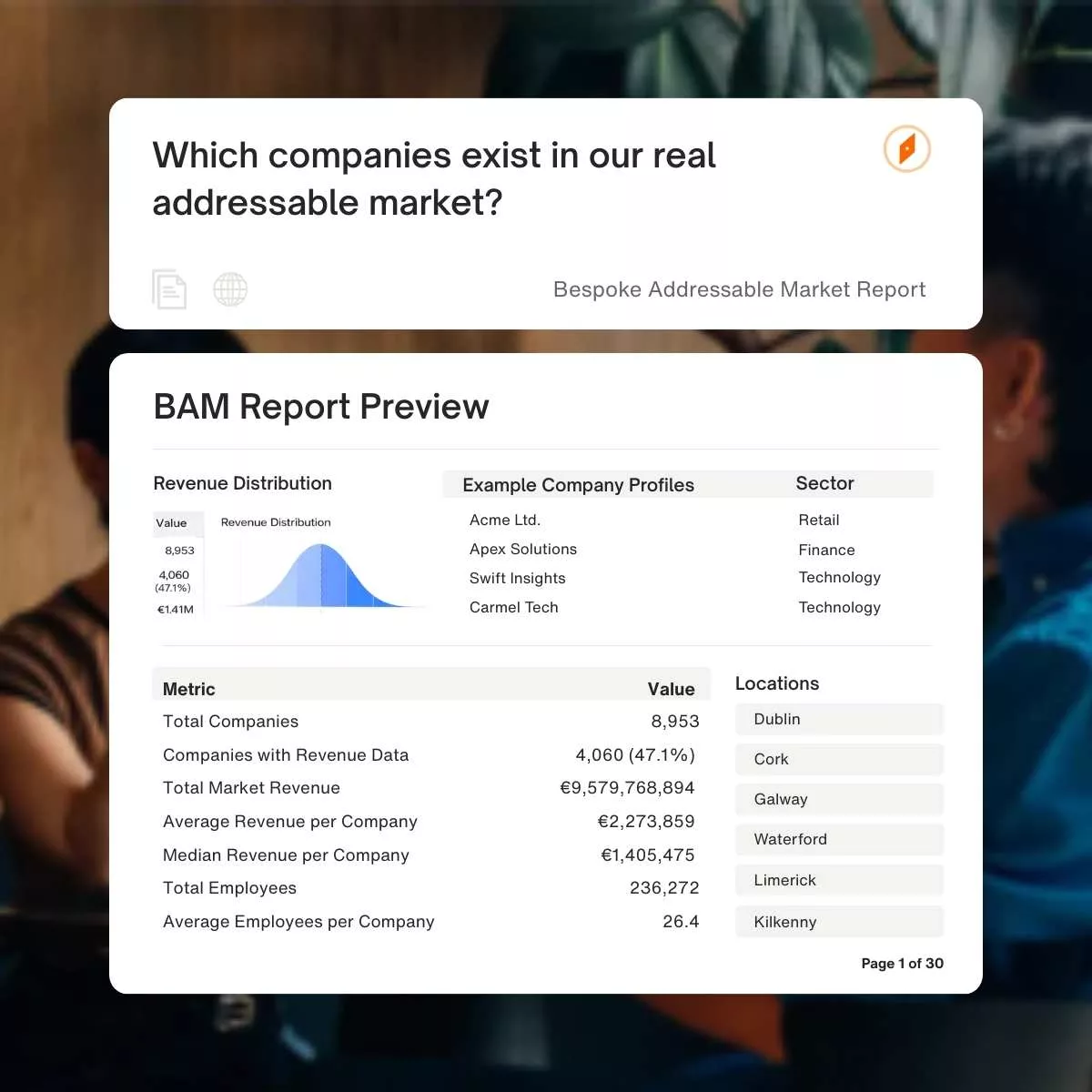 BAM Analysis Report Preview Bespoke Addressable Market report example showing real addressable market companies and market intelligence data.