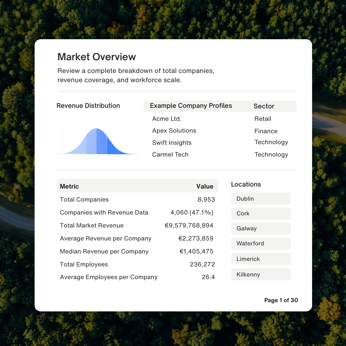 Sample Bespoke Addressable Market Report showing company revenue distribution, total market revenue, and regional breakdown across Ireland.